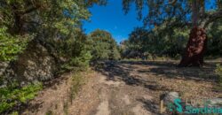 Farmhouse for sale Olbia Sardinia ref Cuncosu