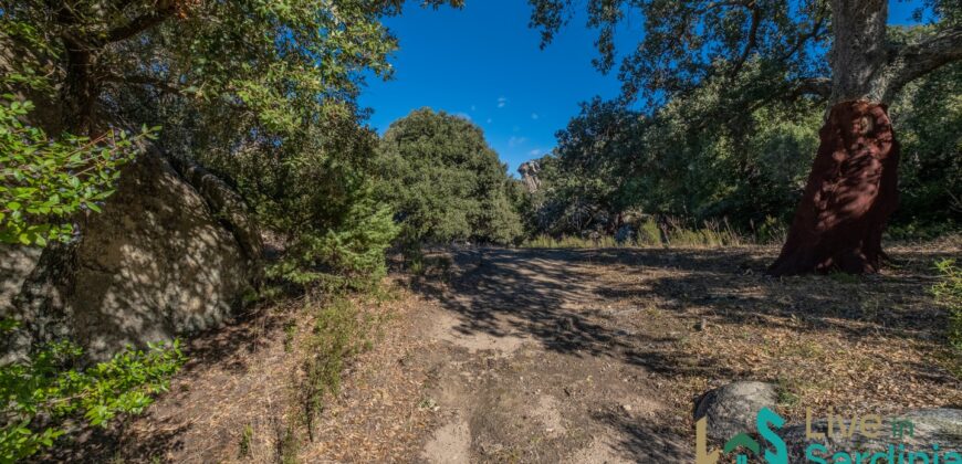 Farmhouse for sale Olbia Sardinia ref Cuncosu