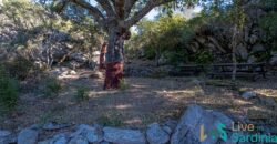 Farmhouse for sale Olbia Sardinia ref Cuncosu