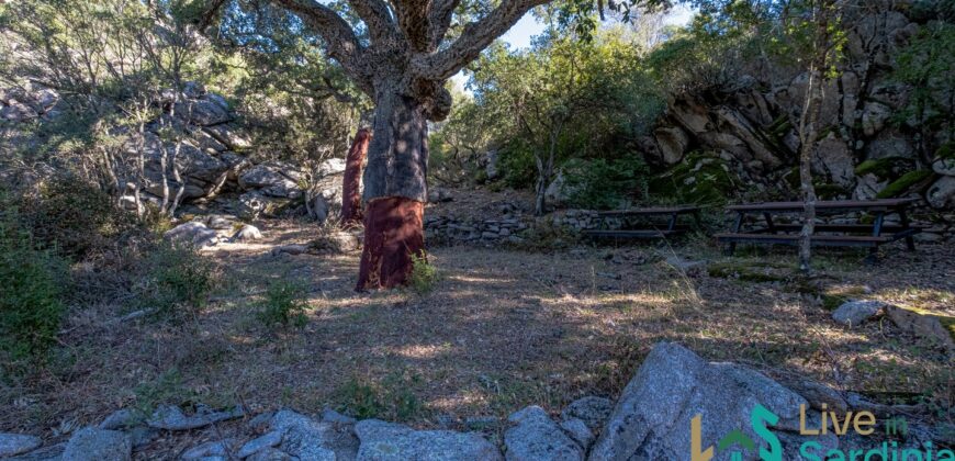 Farmhouse for sale Olbia Sardinia ref Cuncosu