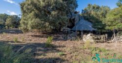Farmhouse for sale Olbia Sardinia ref Cuncosu