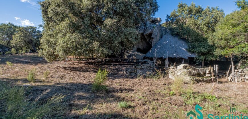 Farmhouse for sale Olbia Sardinia ref Cuncosu