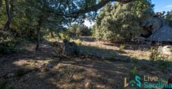 Farmhouse for sale Olbia Sardinia ref Cuncosu