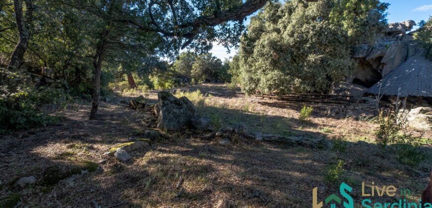 Farmhouse for sale Olbia Sardinia ref Cuncosu