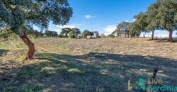 Farmhouse for sale Olbia Sardinia ref Cuncosu