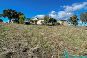 Farmhouse for sale Olbia Sardinia ref Cuncosu