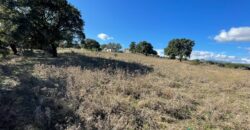 Farmhouse for sale Olbia Sardinia ref Cuncosu