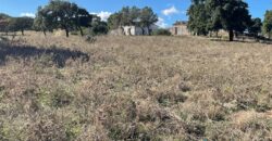 Farmhouse for sale Olbia Sardinia ref Cuncosu