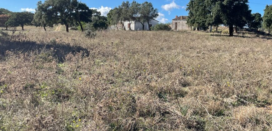 Farmhouse for sale Olbia Sardinia ref Cuncosu