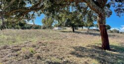 Farmhouse for sale Olbia Sardinia ref Cuncosu