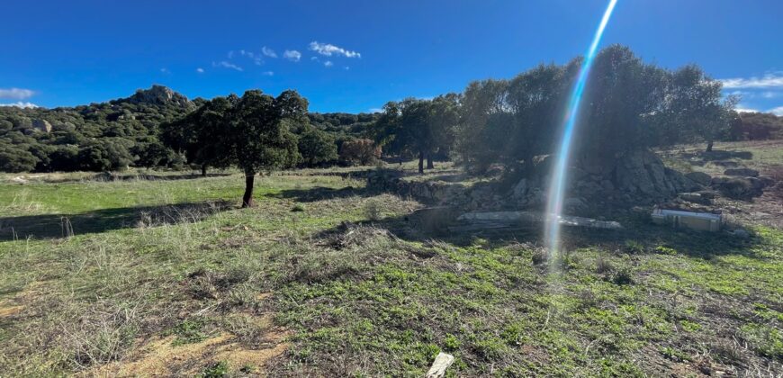 Farmhouse for sale Olbia Sardinia ref Cuncosu