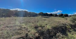 Farmhouse for sale Olbia Sardinia ref Cuncosu