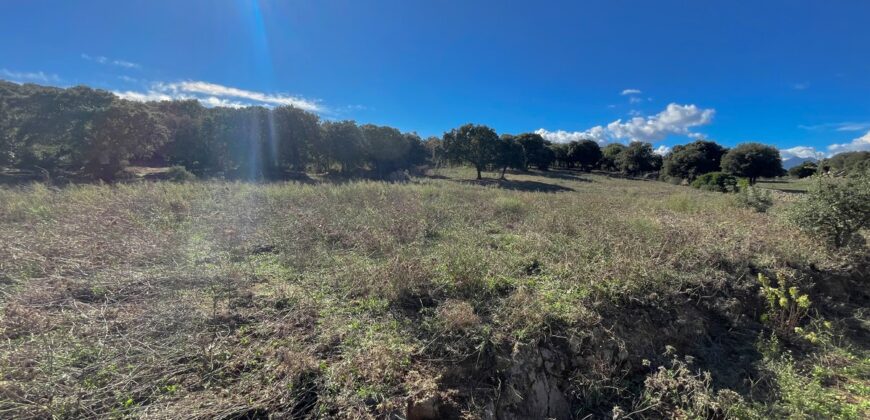Farmhouse for sale Olbia Sardinia ref Cuncosu