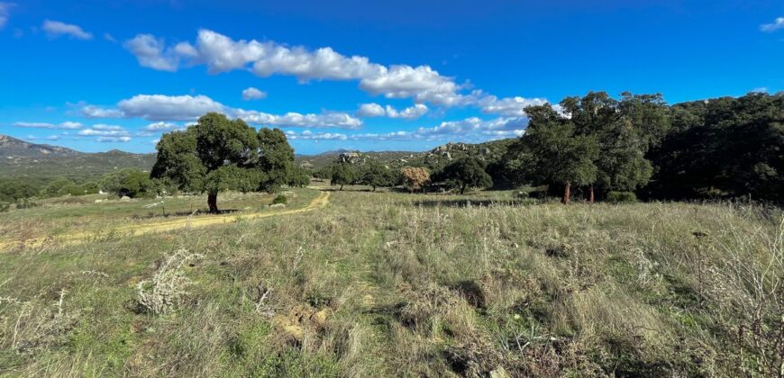 Farmhouse for sale Olbia Sardinia ref Cuncosu