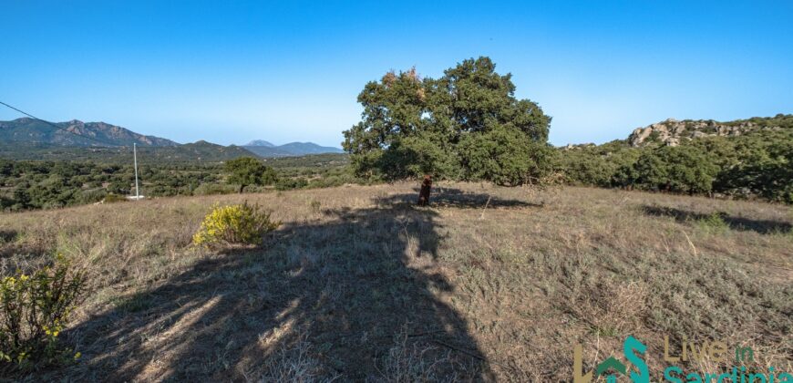 Farmhouse for sale Olbia Sardinia ref Cuncosu