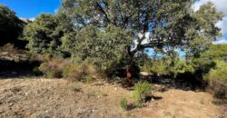 Cottage for Sale Sardinia ref Cuncosu