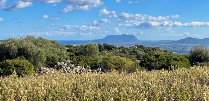 Cottage for Sale Sardinia ref Cuncosu