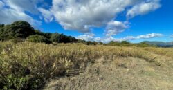 Cottage for Sale Sardinia ref Cuncosu