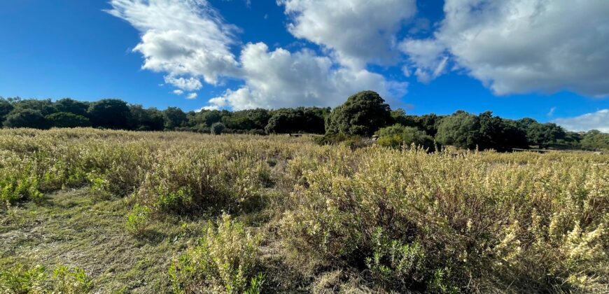 Cottage for Sale Sardinia ref Cuncosu