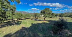 Cottage for Sale Sardinia ref Cuncosu