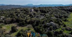 Cottage for Sale Sardinia ref Cuncosu