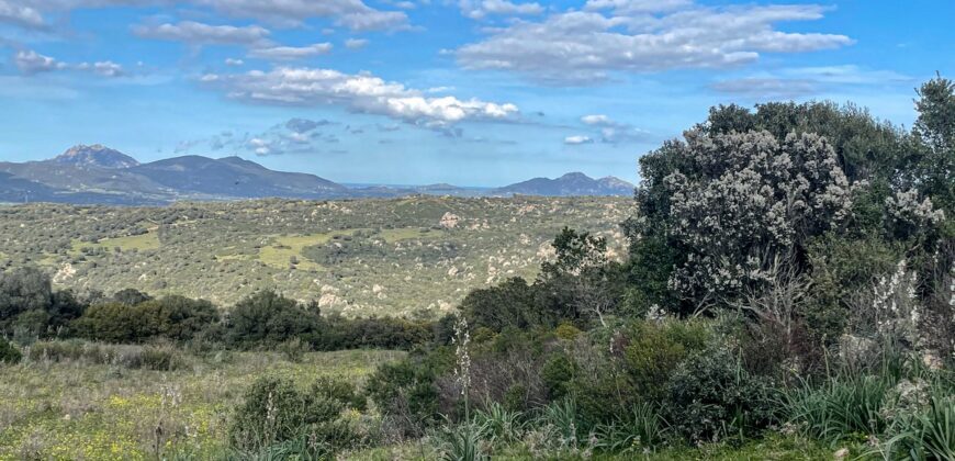 Cottage for Sale Sardinia ref Cuncosu