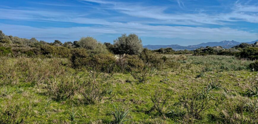 Cottage for Sale Sardinia ref Cuncosu