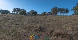 Cottage for Sale Sardinia ref Cuncosu