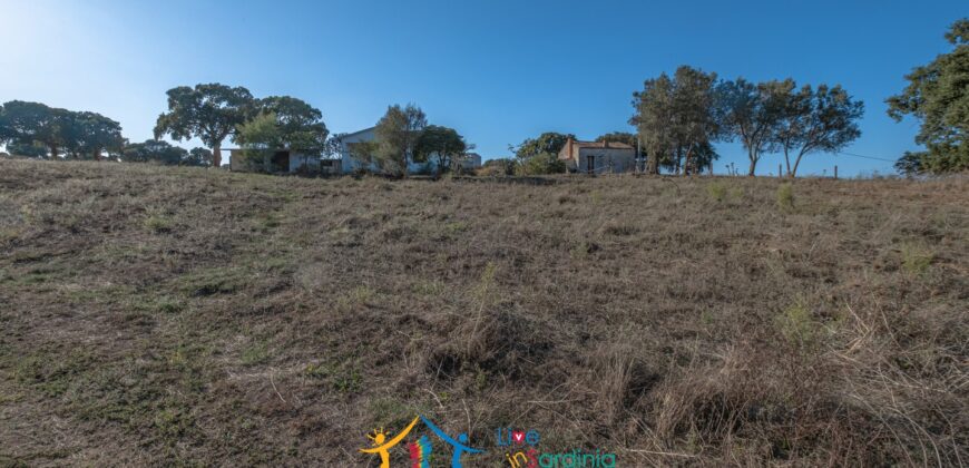 Cottage for Sale Sardinia ref Cuncosu