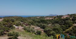 Properties For Sale In Olbia ref Villa Soffi
