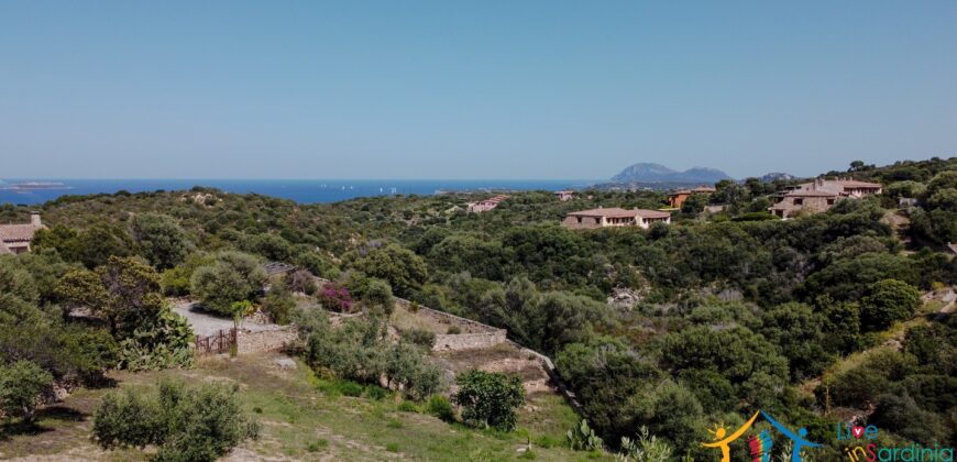Properties For Sale In Olbia ref Villa Soffi