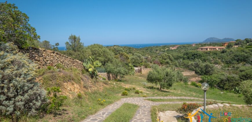 Properties For Sale In Olbia ref Villa Soffi
