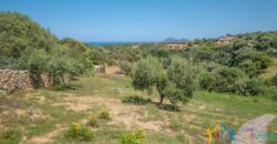 Properties For Sale In Olbia ref Villa Soffi