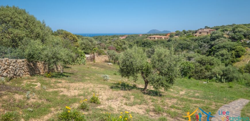 Properties For Sale In Olbia ref Villa Soffi