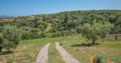 Properties For Sale In Olbia ref Villa Soffi