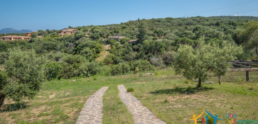 Properties For Sale In Olbia ref Villa Soffi
