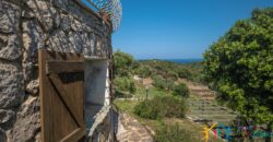 Properties For Sale In Olbia ref Villa Soffi