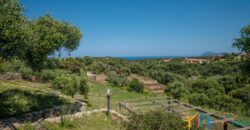 Properties For Sale In Olbia ref Villa Soffi