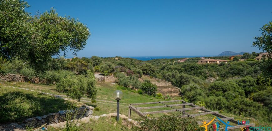 Properties For Sale In Olbia ref Villa Soffi