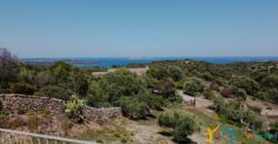 Properties For Sale In Olbia ref Villa Soffi