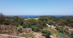 Properties For Sale In Olbia ref Villa Soffi