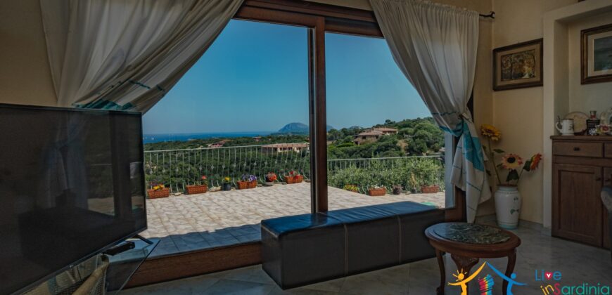 Properties For Sale In Olbia ref Villa Soffi