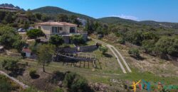 Properties For Sale In Olbia ref Villa Soffi
