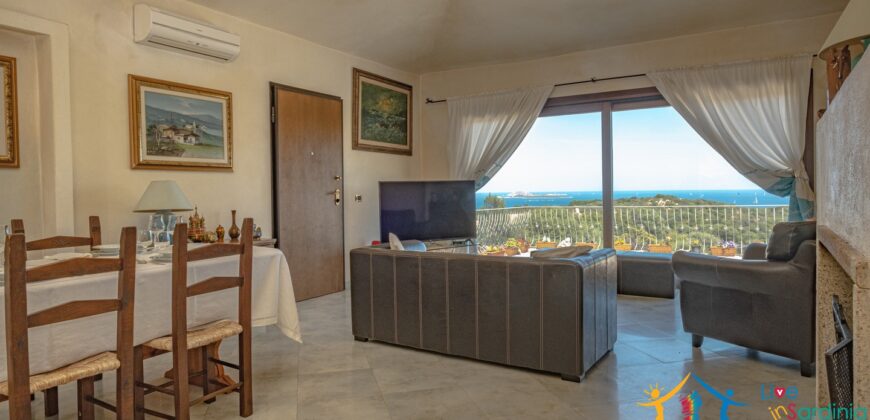 Properties For Sale In Olbia ref Villa Soffi