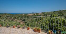 Properties For Sale In Olbia ref Villa Soffi