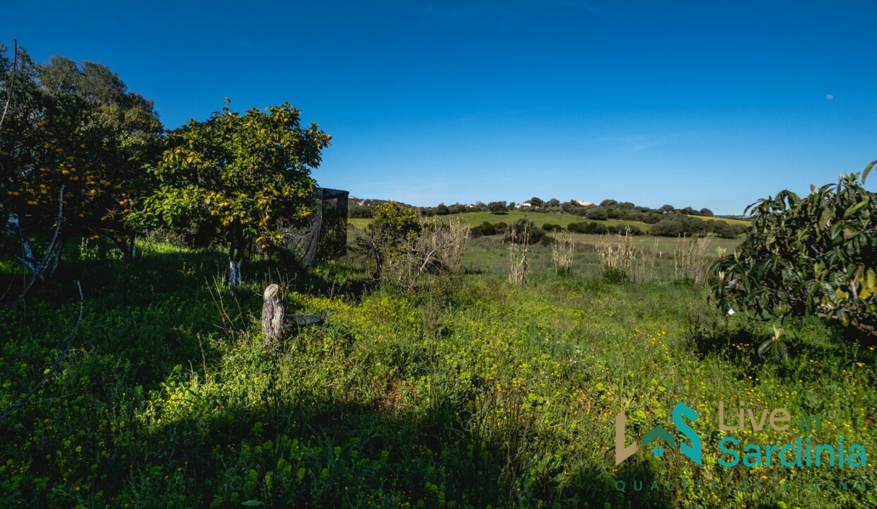 Property-For-Sale-Sardinia-Italy