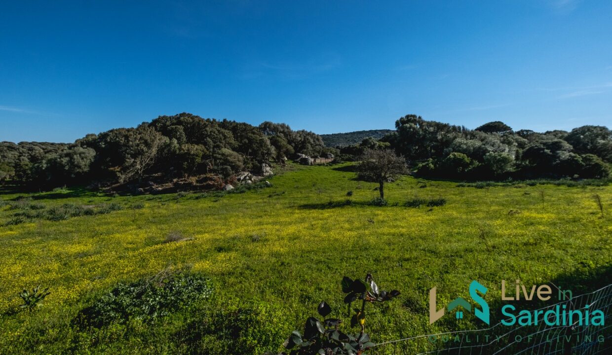 Property-For-Sale-Sardinia-Italy