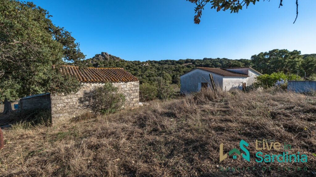 Stone Cottage House set on Sardinia evergreen vegetation