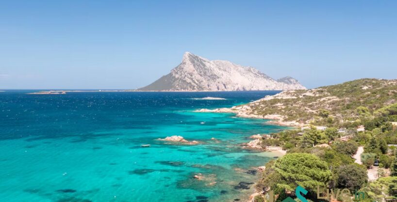 Villa For Sale Cala Girgolu Sardinia Ref Fannia