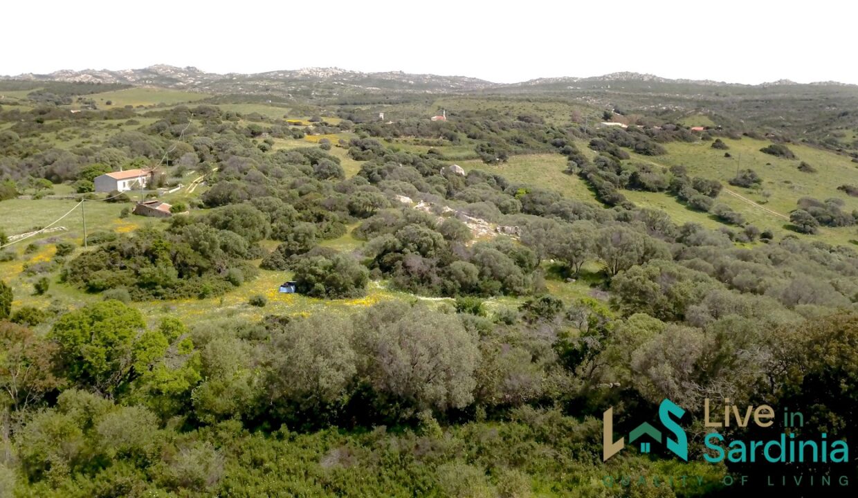 Country-Home-For-Sale-Aglientu-Northern-Sardinia